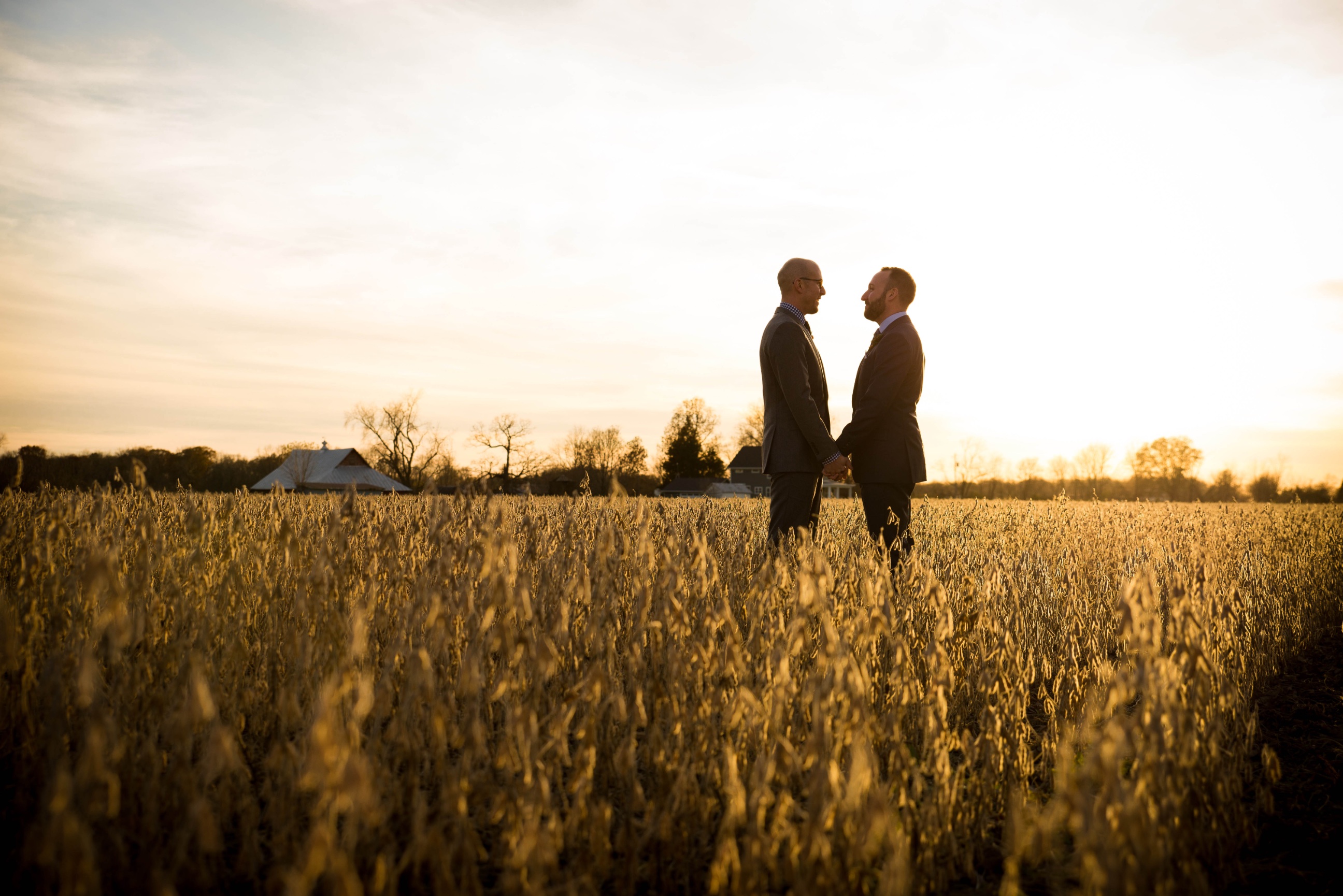 Wheat Field at Sunset, weddings photograph by Giraffe Photography